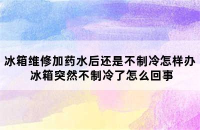 冰箱维修加药水后还是不制冷怎样办 冰箱突然不制冷了怎么回事